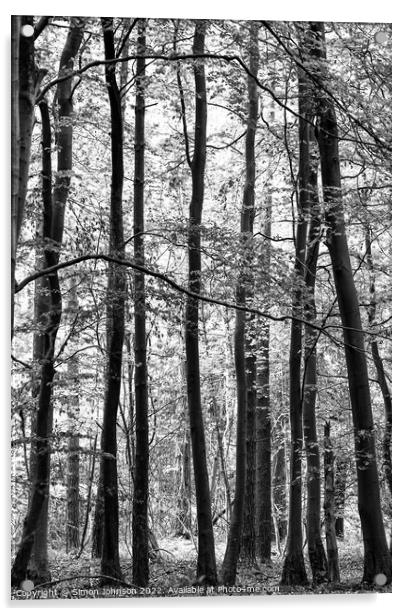 forest monochrome Acrylic by Simon Johnson