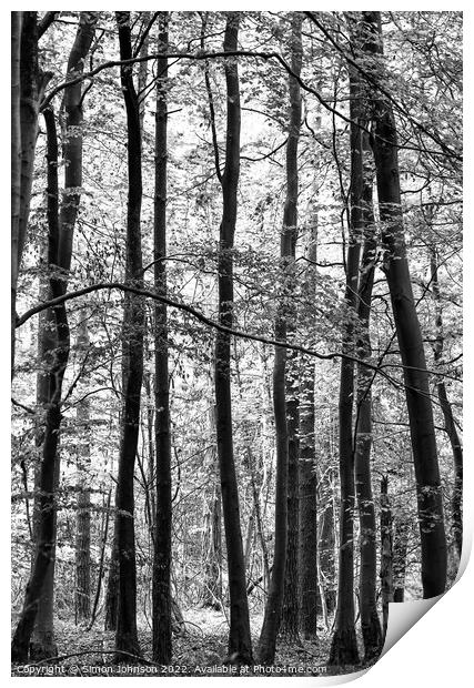 forest monochrome Print by Simon Johnson
