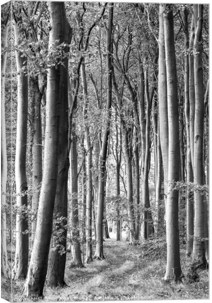 woodland scene in monochrome  Canvas Print by Simon Johnson