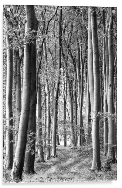 woodland scene in monochrome  Acrylic by Simon Johnson