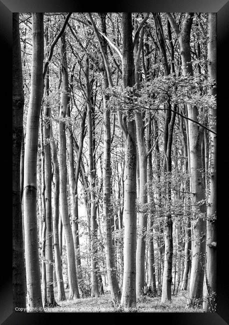 Crowded Woodland Framed Print by Simon Johnson