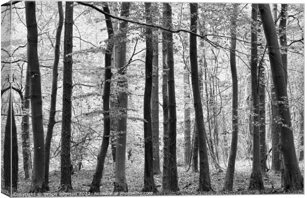woodland Canvas Print by Simon Johnson