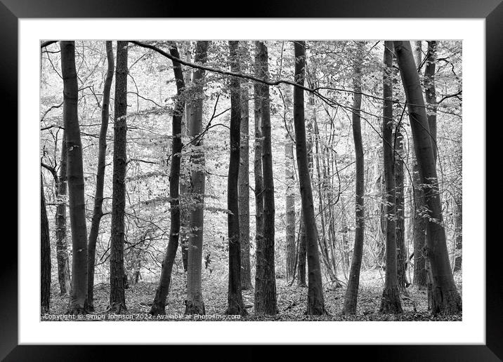 woodland Framed Mounted Print by Simon Johnson