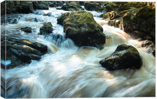 Gushing river Southern Scotland   Canvas Print by christian maltby