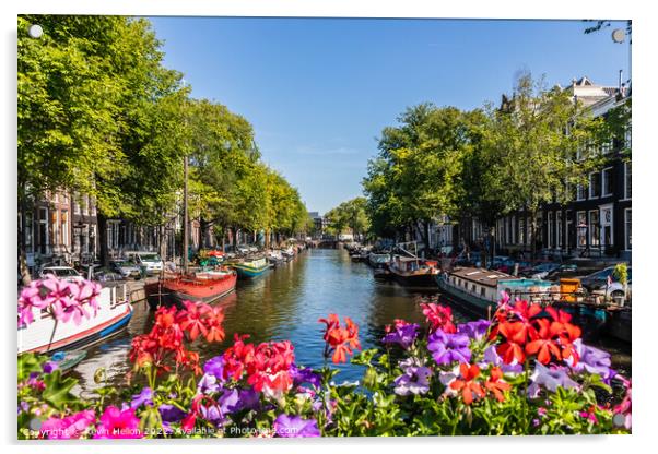 Flowers on the Prinsengracht, Acrylic by Kevin Hellon