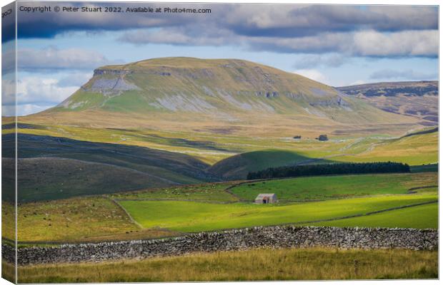 Pen-y-ghent from near to Winskill Stones above Stainforth in the Canvas Print by Peter Stuart