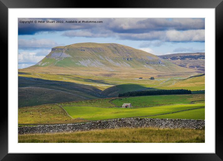 Pen-y-ghent from near to Winskill Stones above Stainforth in the Framed Mounted Print by Peter Stuart