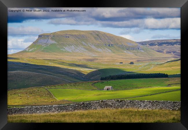 Pen-y-ghent from near to Winskill Stones above Stainforth in the Framed Print by Peter Stuart