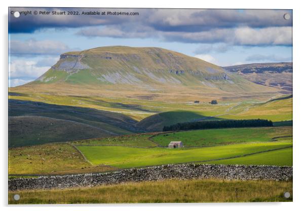 Pen-y-ghent from near to Winskill Stones above Stainforth in the Acrylic by Peter Stuart