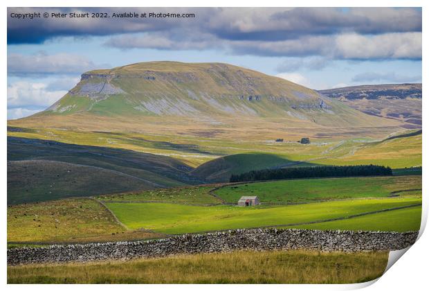 Pen-y-ghent from near to Winskill Stones above Stainforth in the Print by Peter Stuart