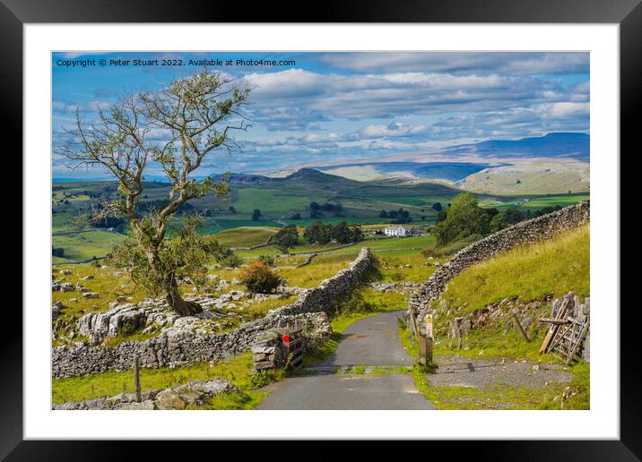 Lone tree at Winskill Sones above Langcliffe in the Yorkshire Da Framed Mounted Print by Peter Stuart