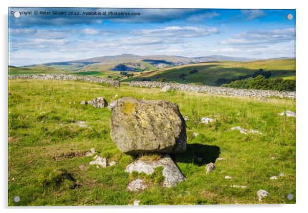 Eratic above Langcliffe next to Winskill Stones looking towar4ds Acrylic by Peter Stuart