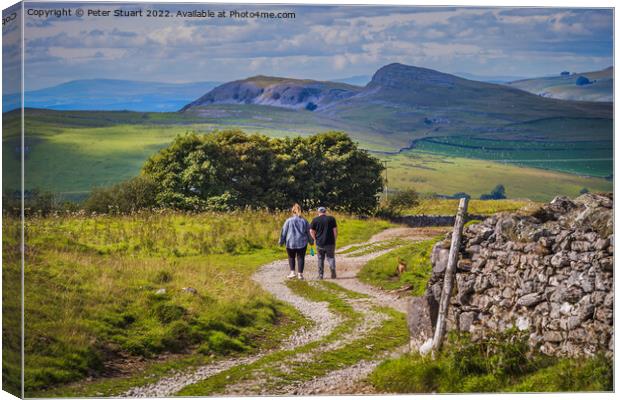 Walking in the Yorkshire Dales above Stainforth in Craven near S Canvas Print by Peter Stuart