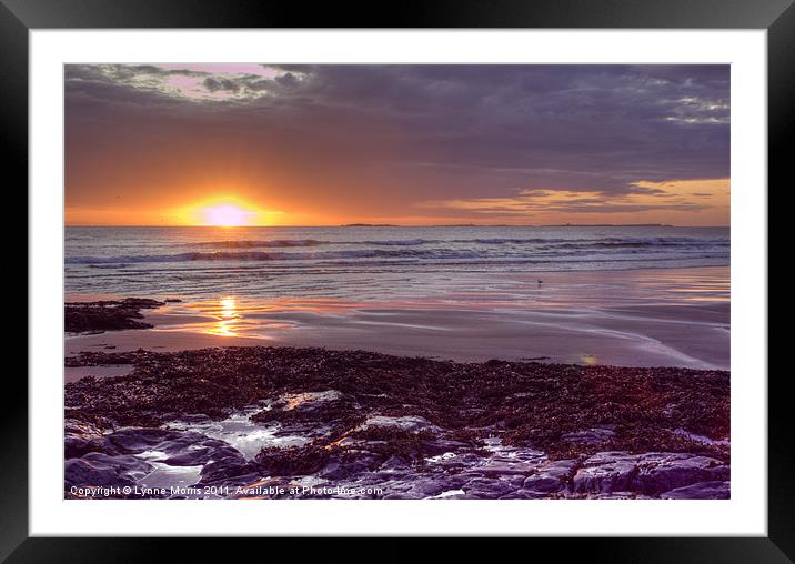 Sunrise Framed Mounted Print by Lynne Morris (Lswpp)