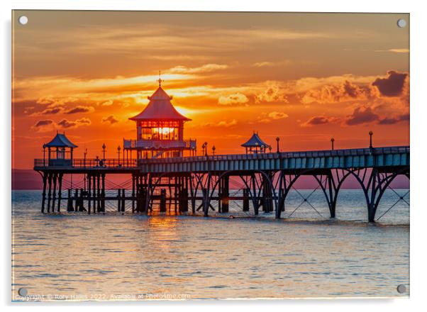 Clevedon Pier at sunset with a colourful horizon Acrylic by Rory Hailes