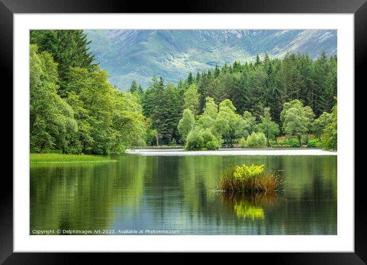 Lochan summer landscape near Glencoe Framed Mounted Print by Delphimages Art