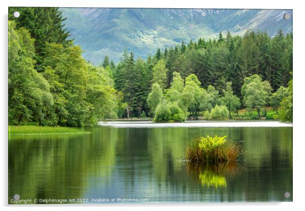 Lochan summer landscape near Glencoe Acrylic by Delphimages Art