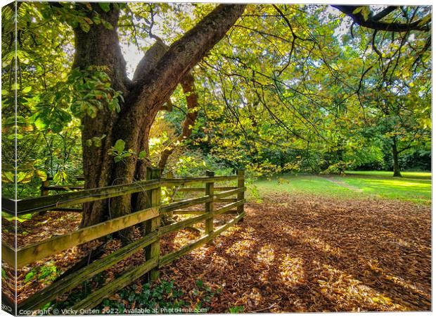 Sunny autumnal day in the park Canvas Print by Vicky Outen