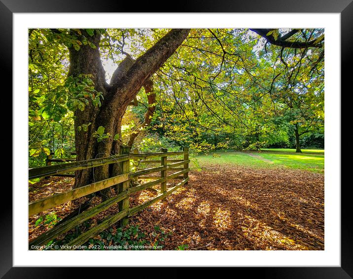 Sunny autumnal day in the park Framed Mounted Print by Vicky Outen