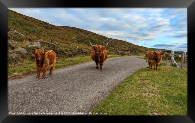 Highland Cows Framed Print by Lady Debra Bowers L.R.P.S