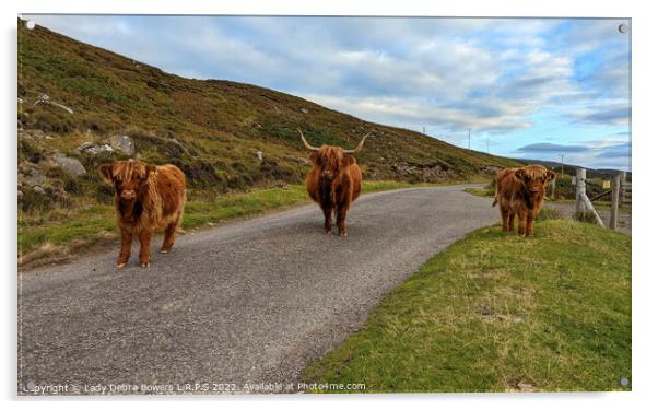 Highland Cows Acrylic by Lady Debra Bowers L.R.P.S