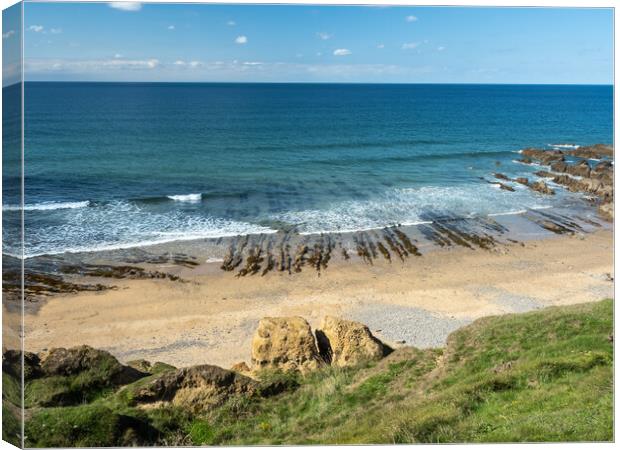 Cove at Maer Down in Bude Canvas Print by Tony Twyman