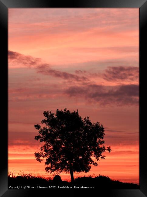 Tree Silhouette  Framed Print by Simon Johnson