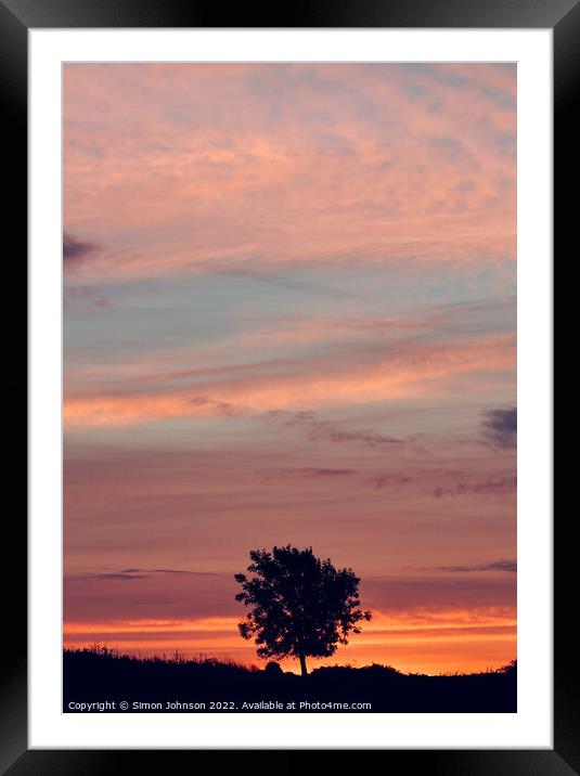  Tree Silhouette Framed Mounted Print by Simon Johnson