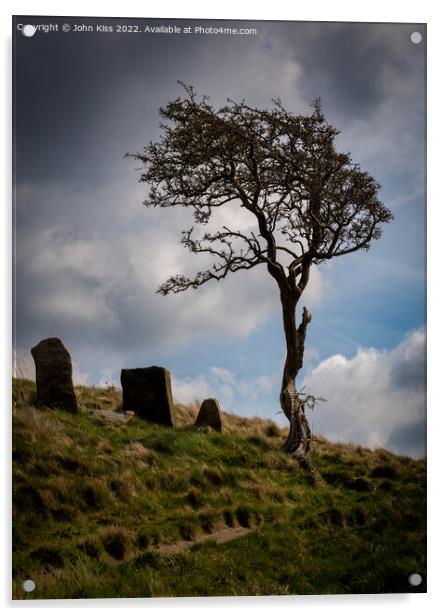 Grim Lone Tree Acrylic by John Kiss