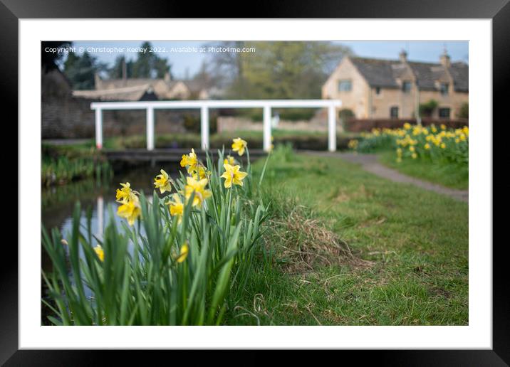 Daffodils in Lower Slaughter Framed Mounted Print by Christopher Keeley