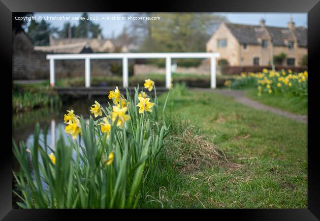 Daffodils in Lower Slaughter Framed Print by Christopher Keeley