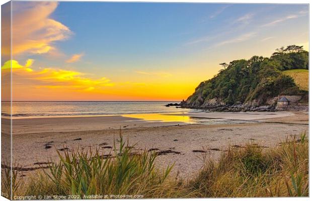 Golden Sunset at Mothecombe Beach Canvas Print by Ian Stone
