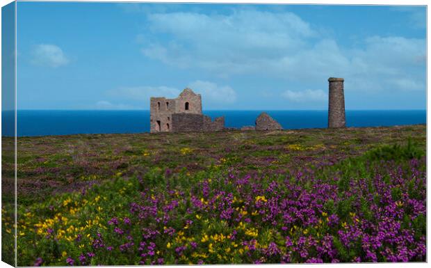 St Agnes with wildflowers Canvas Print by kathy white