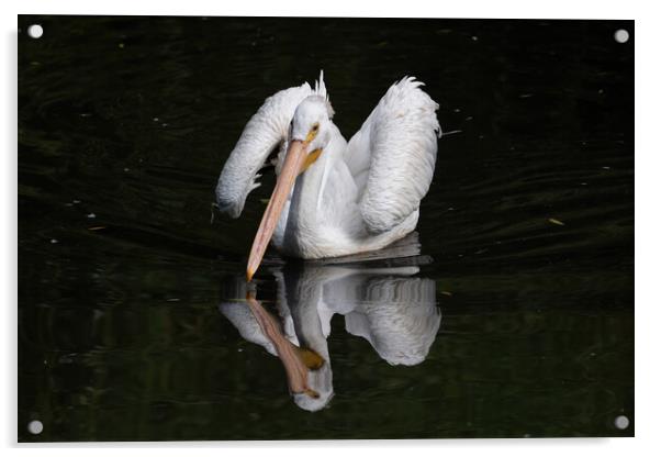American White Pelican In The Lake Acrylic by Artur Bogacki