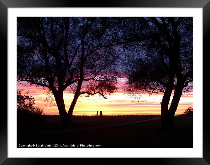 Walk in the park Framed Mounted Print by Sarah Osterman