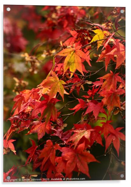 Autumnal  leaves Acrylic by Simon Johnson