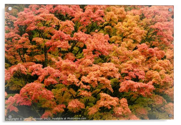 Autumn  leaves Acrylic by Simon Johnson