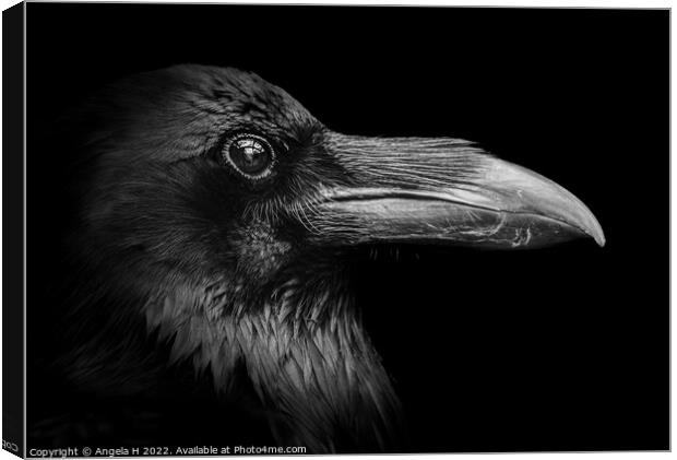 Raven Canvas Print by Angela H