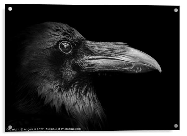 Raven Acrylic by Angela H