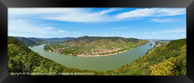 Vineyards by the Danube river in Wachau valley. Lower Austria. Framed Print by Sergey Fedoskin