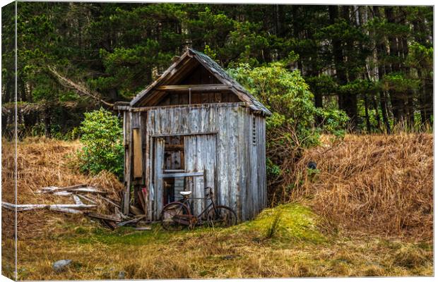 Abandoned shed Canvas Print by chris smith