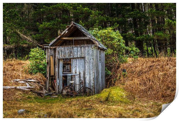 Abandoned shed Print by chris smith