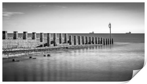 Majestic Wooden Barrier Print by DAVID FRANCIS