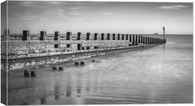 The Sentinel of Aberdeen Beach Canvas Print by DAVID FRANCIS