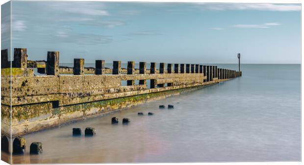 Weathered Groynes Guarding Scotlands Shore Canvas Print by DAVID FRANCIS