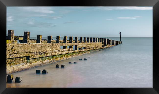Weathered Groynes Guarding Scotlands Shore Framed Print by DAVID FRANCIS