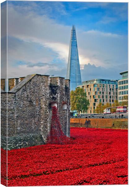 A Sea of Red Poppies Canvas Print by Andy Evans Photos