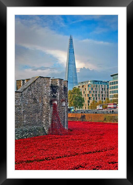 A Sea of Red Poppies Framed Mounted Print by Andy Evans Photos