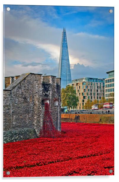 A Sea of Red Poppies Acrylic by Andy Evans Photos