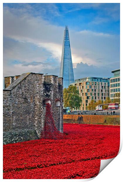A Sea of Red Poppies Print by Andy Evans Photos